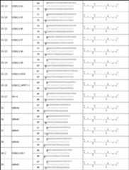 Figure JPOXMLDOC01-appb-T000051