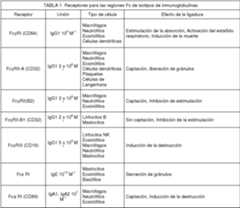 Figure imgf000004_0001