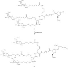 Figure US10793862-20201006-C00159