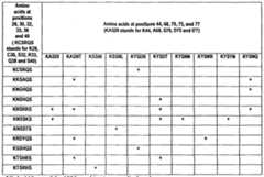 Figure imgf000054_0001