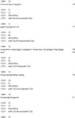 Figure GDA0004208658490000191