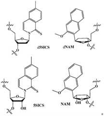 Figure BDA0002437959900000951