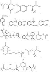 Figure imgf000008_0001