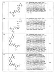 Figure 109139846-A0202-12-0238-106