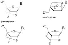 Figure imgf000031_0001
