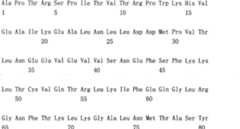 Figure A200780016674D00332