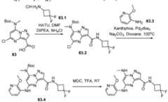 Figure imgf000711_0001