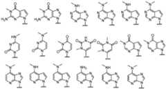 Figure imgf000056_0001