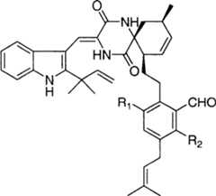 Figure A2006101036550002C1