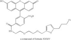 Figure US07425436-20080916-C00029