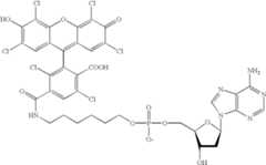 Figure US06627400-20030930-C00004