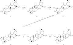 Figure US07795305-20100914-C00002