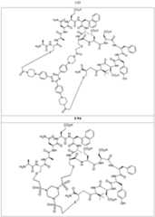 Figure imgf000146_0001