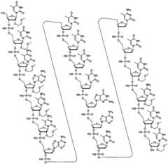 Figure FDA0003319162440000131