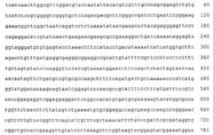 Figure 112002525353199-pct00007