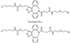 Figure imgf000341_0001
