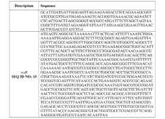Figure imgf000167_0002