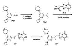 Figure JPOXMLDOC01-appb-C000159
