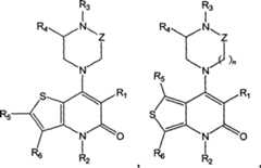 Figure A200780017807D00253