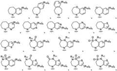 Figure BDA0001321097640000161