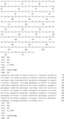 Figure IDA0002795140360002251