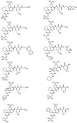 Figure imgf000085_0001