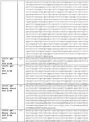 Figure imgf000079_0001