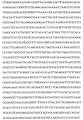 Figure 104109152-A0202-12-0116-77