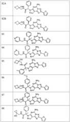 Figure FDA0003465902320000201