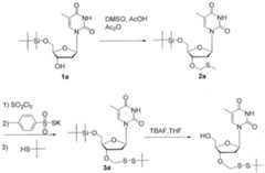 Figure imgf000567_0001