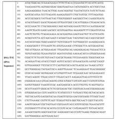 Figure BDA00001624569300071