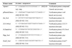 Figure imgf000277_0001
