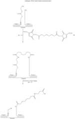 Figure US07727713-20100601-C00091