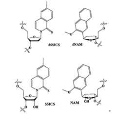 Figure 109130857-A0202-12-0274-319