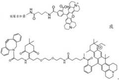 Figure BDA0003670511740003571