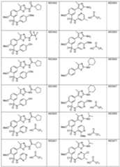 Figure imgf000031_0001