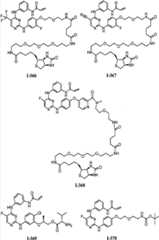 Figure FDA00001832816600021