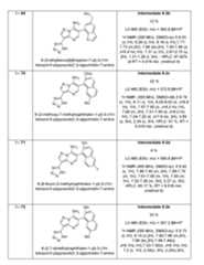 Figure imgf000301_0001
