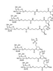 Figure imgf000113_0001