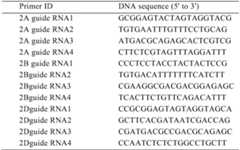 Figure PCTCN2022090268-appb-000169