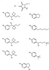 Figure G2007800369601D00211