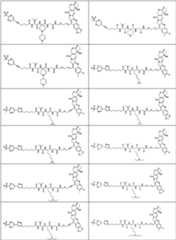 Figure PCTCN2022073822-appb-000368