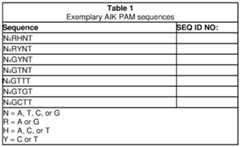 Figure imgf000010_0001