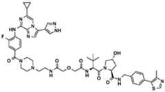 Figure BDA0002964098100001841