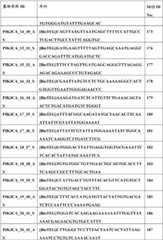 Figure BDA0000059233380000661