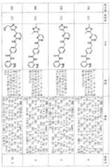 Figure 112006077693653-pct00169