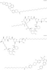 Figure US11364300-20220621-C00333