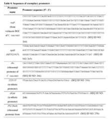 Figure imgf000272_0001