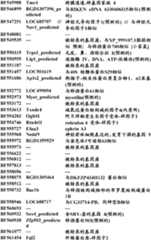 Figure BDA0000057170160001201