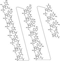 Figure BDA0003817829470000251